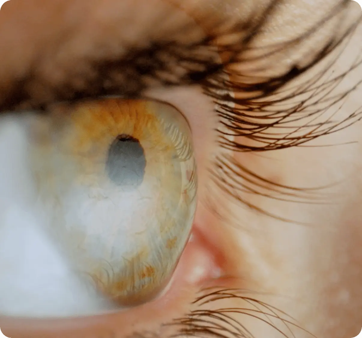 Extreme close-up of an eye looking off to the right.